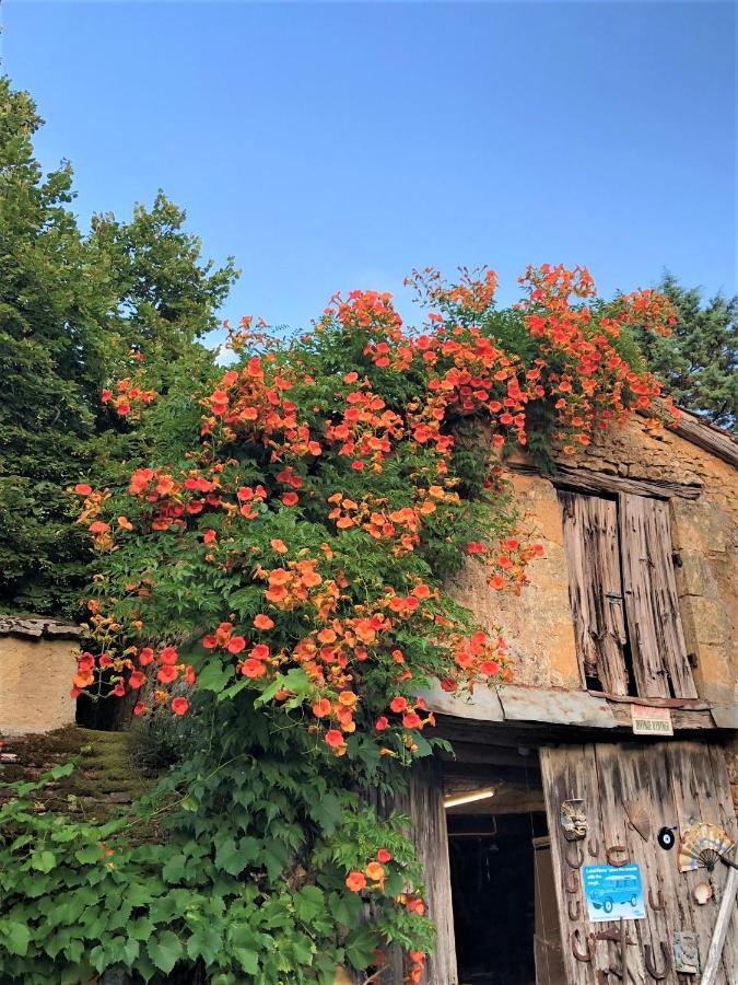 Chambres D'Hotes Les Coustilles Saint-Alvère Exterior foto